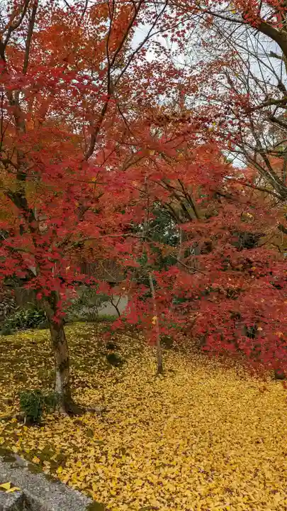岩屋寺(京都府)