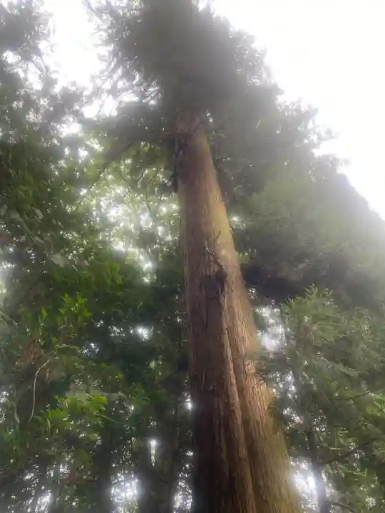 宮原八幡宮(栃木県)