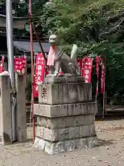 水稲荷神社の狛犬