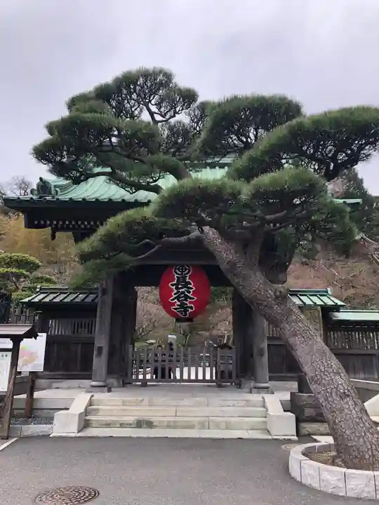 長谷寺の山門・神門