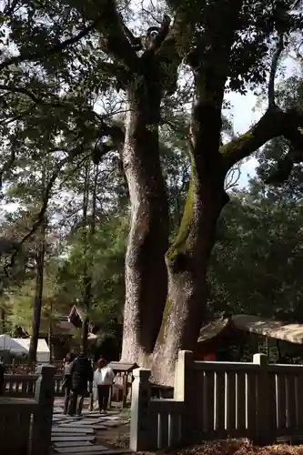 伊弉諾神宮(兵庫県)