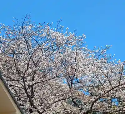 聖輪寺(東京都)