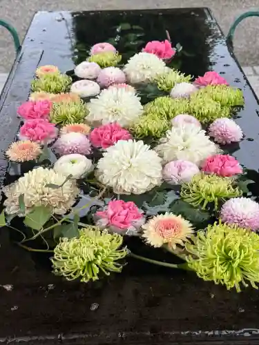 箭弓稲荷神社の{uncategorized: "未分類", other: "その他", undefined: "問題あり", building: "その他建物", grave: "お墓", sacred_gate: "鳥居", guardian: "狛犬", statue: "像", buddha: "仏像", history: "歴史", nature: "自然", garden: "庭園", animal: "動物", pagoda: "塔", temizu: "手水舎", mountain_gate: "山門・神門", sanctuary: "本殿・本堂", subordinate: "末社・摂社", art: "芸術", scenery: "景色", jizo: "地蔵", ema: "絵馬", goshuin: "御朱印", omikuji: "おみくじ", items: "授与品その他", amulet: "お守り", goshuincho: "御朱印帳", eats: "食事", festival: "お祭り", votive_dance: "神楽", shichigosan: "七五三参", wedding: "結婚式", experience: "体験その他", initially: "初詣", around: "周辺", anti_infection: "感染症対策"}