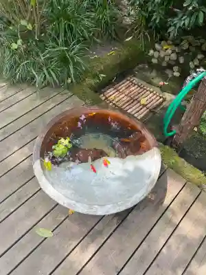 明月院の{uncategorized: "未分類", other: "その他", undefined: "問題あり", building: "その他建物", grave: "お墓", sacred_gate: "鳥居", guardian: "狛犬", statue: "像", buddha: "仏像", history: "歴史", nature: "自然", garden: "庭園", animal: "動物", pagoda: "塔", temizu: "手水舎", mountain_gate: "山門・神門", sanctuary: "本殿・本堂", subordinate: "末社・摂社", art: "芸術", scenery: "景色", jizo: "地蔵", ema: "絵馬", goshuin: "御朱印", omikuji: "おみくじ", items: "授与品その他", amulet: "お守り", goshuincho: "御朱印帳", eats: "食事", festival: "お祭り", votive_dance: "神楽", shichigosan: "七五三参", wedding: "結婚式", experience: "体験その他", initially: "初詣", around: "周辺", anti_infection: "感染症対策"}