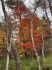 日枝神社(岐阜県)