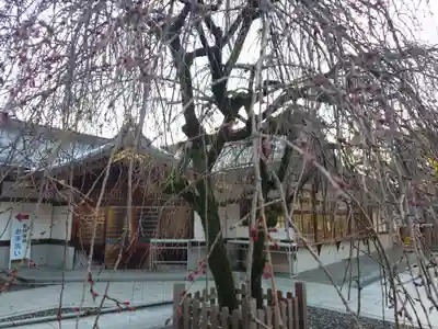 速谷神社(広島県)