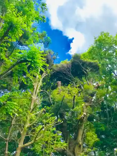 星宮神社の自然