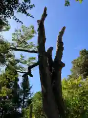 鎌倉宮(神奈川県)