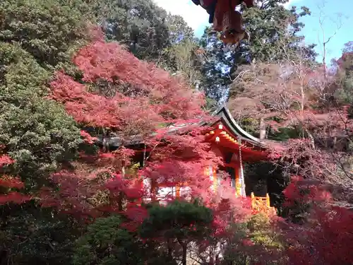 毘沙門堂門跡の自然