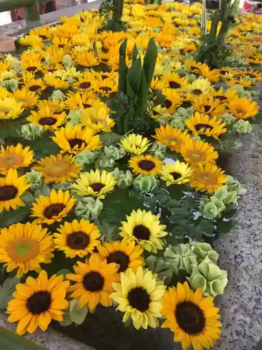 住吉神社の手水舎