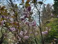 大宮温泉神社(栃木県)