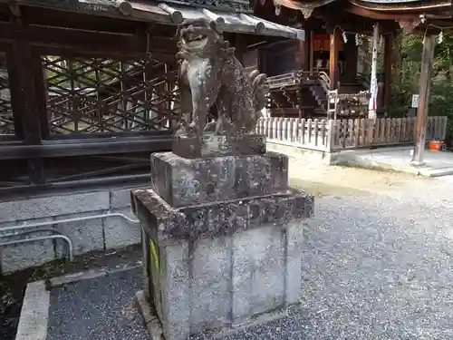 三尾神社の狛犬