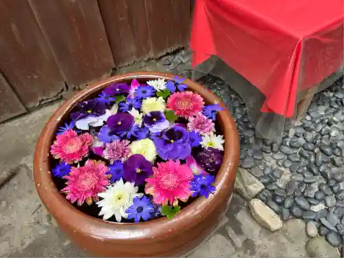 菅生神社(愛知県)