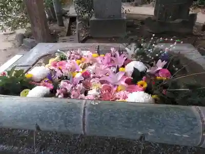 紅葉八幡宮の手水舎