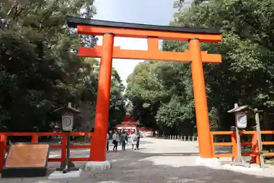 賀茂御祖神社(下鴨神社)の鳥居