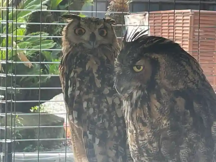 宮地嶽神社(福岡県)