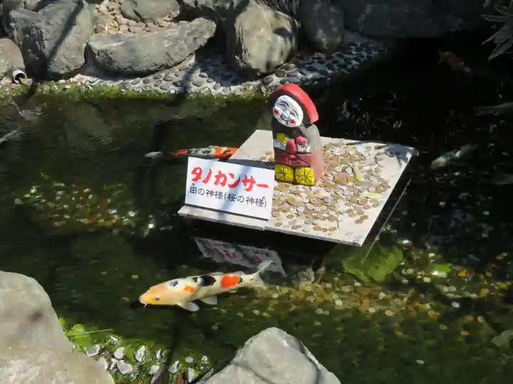 櫻木神社のその他建物