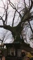 熊野皇大神社の自然