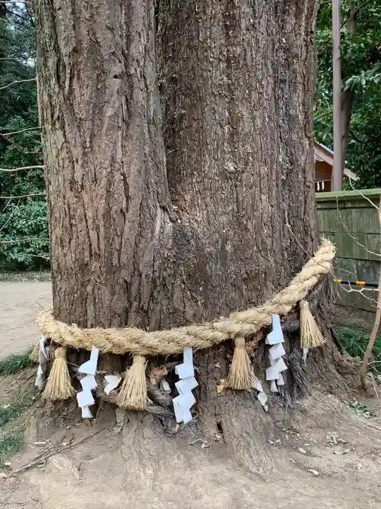 玉敷神社の自然