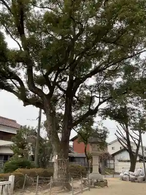 本莊神社(岐阜県)