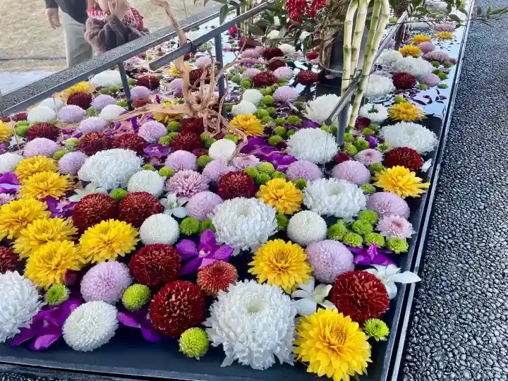 武蔵野坐令和神社の{uncategorized: "未分類", other: "その他", undefined: "問題あり", building: "その他建物", grave: "お墓", sacred_gate: "鳥居", guardian: "狛犬", statue: "像", buddha: "仏像", history: "歴史", nature: "自然", garden: "庭園", animal: "動物", pagoda: "塔", temizu: "手水舎", mountain_gate: "山門・神門", sanctuary: "本殿・本堂", subordinate: "末社・摂社", art: "芸術", scenery: "景色", jizo: "地蔵", ema: "絵馬", goshuin: "御朱印", omikuji: "おみくじ", items: "授与品その他", amulet: "お守り", goshuincho: "御朱印帳", eats: "食事", festival: "お祭り", votive_dance: "神楽", shichigosan: "七五三参", wedding: "結婚式", experience: "体験その他", initially: "初詣", around: "周辺", anti_infection: "感染症対策"}