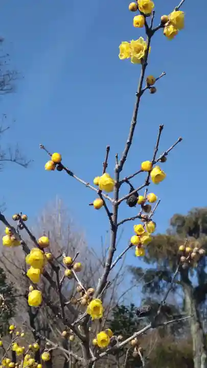 横浜 西方寺(神奈川県)