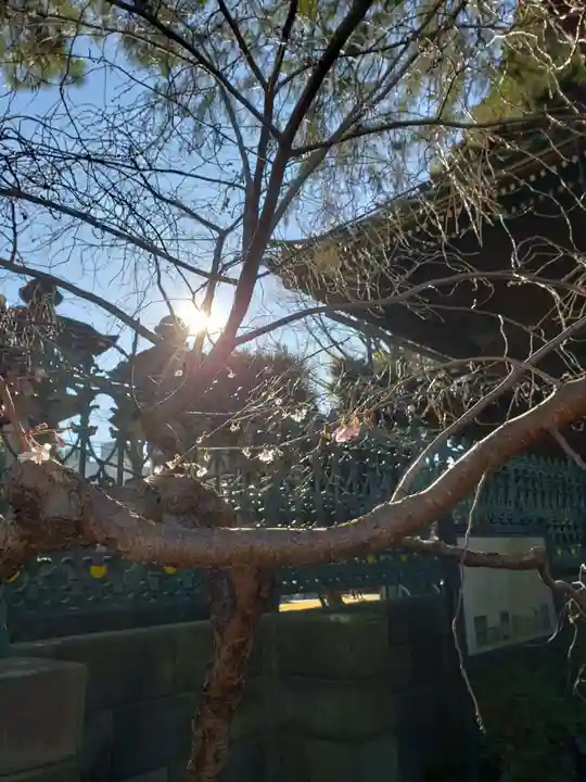 妙法寺(東京都)