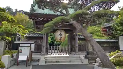 長谷寺の山門・神門