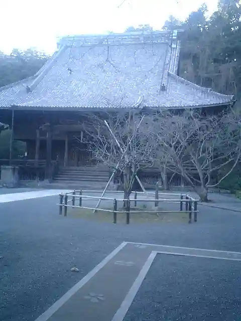 妙本寺の本殿・本堂