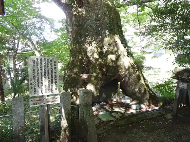 小夫天神社(奈良県)