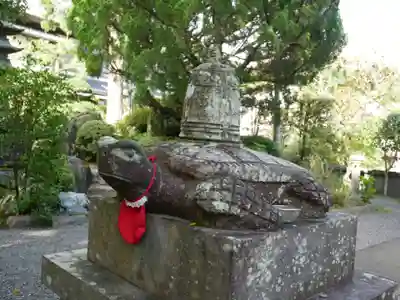 延光寺の狛犬