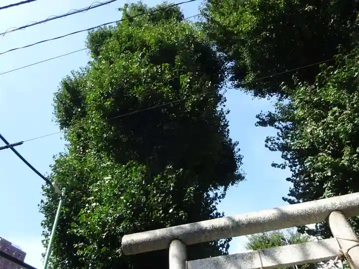 出世稲荷神社の自然