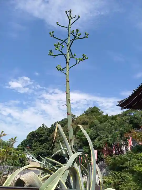 筑波山大御堂(茨城県)