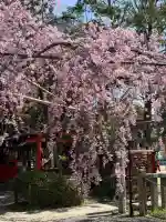 水火天満宮の{uncategorized: "未分類", other: "その他", undefined: "問題あり", building: "その他建物", grave: "お墓", sacred_gate: "鳥居", guardian: "狛犬", statue: "像", buddha: "仏像", history: "歴史", nature: "自然", garden: "庭園", animal: "動物", pagoda: "塔", temizu: "手水舎", mountain_gate: "山門・神門", sanctuary: "本殿・本堂", subordinate: "末社・摂社", art: "芸術", scenery: "景色", jizo: "地蔵", ema: "絵馬", goshuin: "御朱印", omikuji: "おみくじ", items: "授与品その他", amulet: "お守り", goshuincho: "御朱印帳", eats: "食事", festival: "お祭り", votive_dance: "神楽", shichigosan: "七五三参", wedding: "結婚式", experience: "体験その他", initially: "初詣", around: "周辺", anti_infection: "感染症対策"}