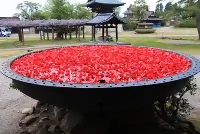 井波別院瑞泉寺の景色