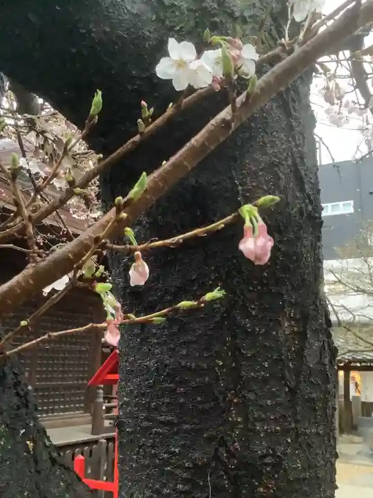 三輪神社の自然