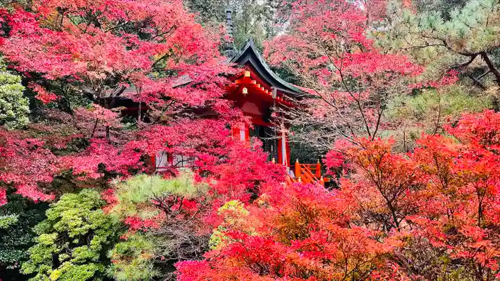 毘沙門堂門跡の自然