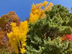 手長神社(長野県)