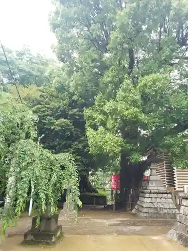 諏訪神社のその他建物