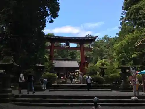 北口本宮冨士浅間神社の鳥居