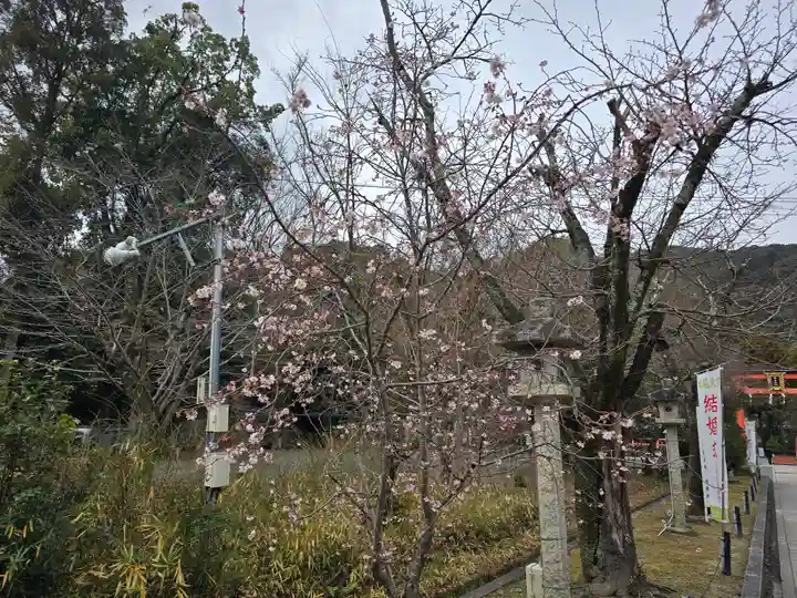 松尾大社(京都府)