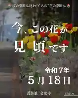 宝光寺(北海道)