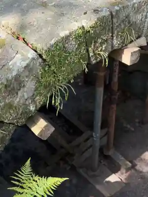 志賀海神社の{uncategorized: "未分類", other: "その他", undefined: "問題あり", building: "その他建物", grave: "お墓", sacred_gate: "鳥居", guardian: "狛犬", statue: "像", buddha: "仏像", history: "歴史", nature: "自然", garden: "庭園", animal: "動物", pagoda: "塔", temizu: "手水舎", mountain_gate: "山門・神門", sanctuary: "本殿・本堂", subordinate: "末社・摂社", art: "芸術", scenery: "景色", jizo: "地蔵", ema: "絵馬", goshuin: "御朱印", omikuji: "おみくじ", items: "授与品その他", amulet: "お守り", goshuincho: "御朱印帳", eats: "食事", festival: "お祭り", votive_dance: "神楽", shichigosan: "七五三参", wedding: "結婚式", experience: "体験その他", initially: "初詣", around: "周辺", anti_infection: "感染症対策"}