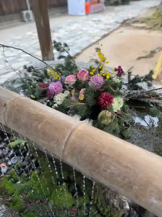 櫻井神社の{uncategorized: "未分類", other: "その他", undefined: "問題あり", building: "その他建物", grave: "お墓", sacred_gate: "鳥居", guardian: "狛犬", statue: "像", buddha: "仏像", history: "歴史", nature: "自然", garden: "庭園", animal: "動物", pagoda: "塔", temizu: "手水舎", mountain_gate: "山門・神門", sanctuary: "本殿・本堂", subordinate: "末社・摂社", art: "芸術", scenery: "景色", jizo: "地蔵", ema: "絵馬", goshuin: "御朱印", omikuji: "おみくじ", items: "授与品その他", amulet: "お守り", goshuincho: "御朱印帳", eats: "食事", festival: "お祭り", votive_dance: "神楽", shichigosan: "七五三参", wedding: "結婚式", experience: "体験その他", initially: "初詣", around: "周辺", anti_infection: "感染症対策"}