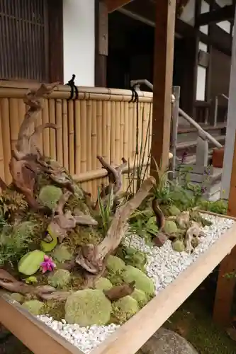 報国寺(神奈川県)