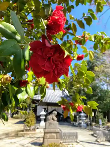 上高野神社の庭園