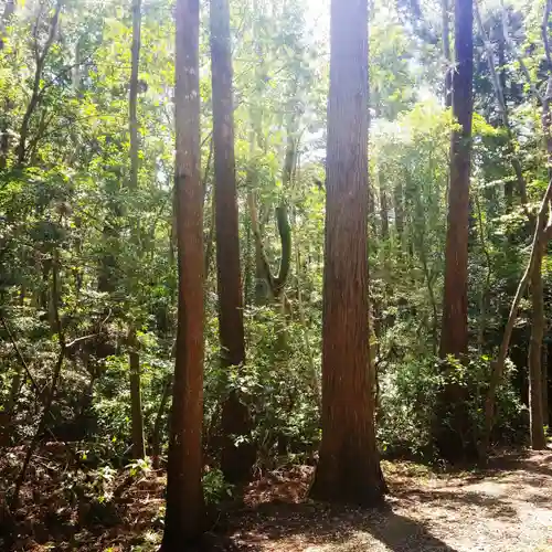 鹿島神宮の自然