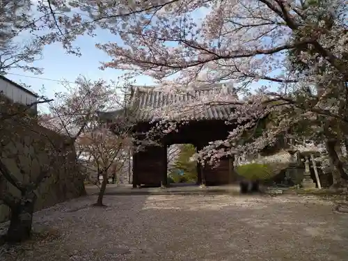 法輪寺の山門