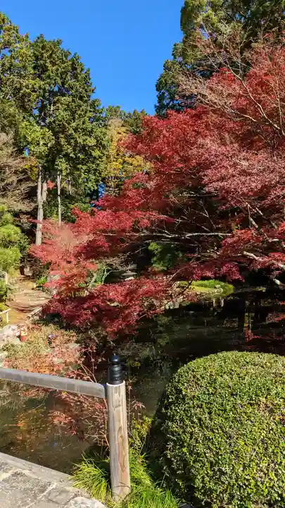 くろ谷 金戒光明寺(京都府)