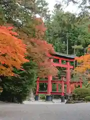 北口本宮冨士浅間神社の鳥居